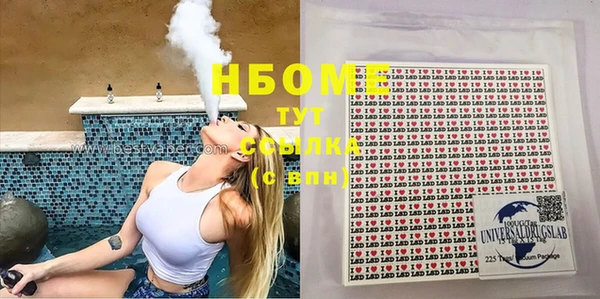 стаф Алзамай