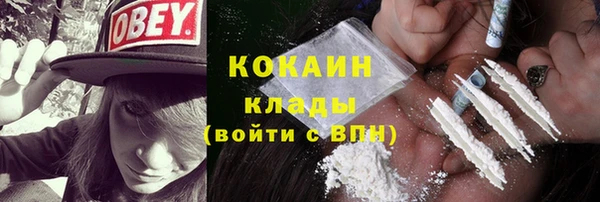 стаф Алзамай