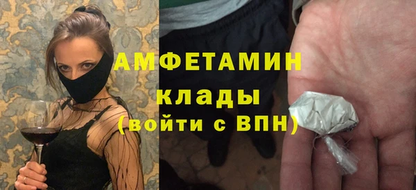 стаф Алзамай