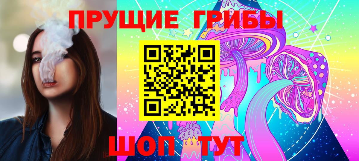 Псилоцибиновые грибы Magic Shrooms  купить  сайты  Курчалой  Псилоцибиновые грибы мухоморы  Вход с VPN 