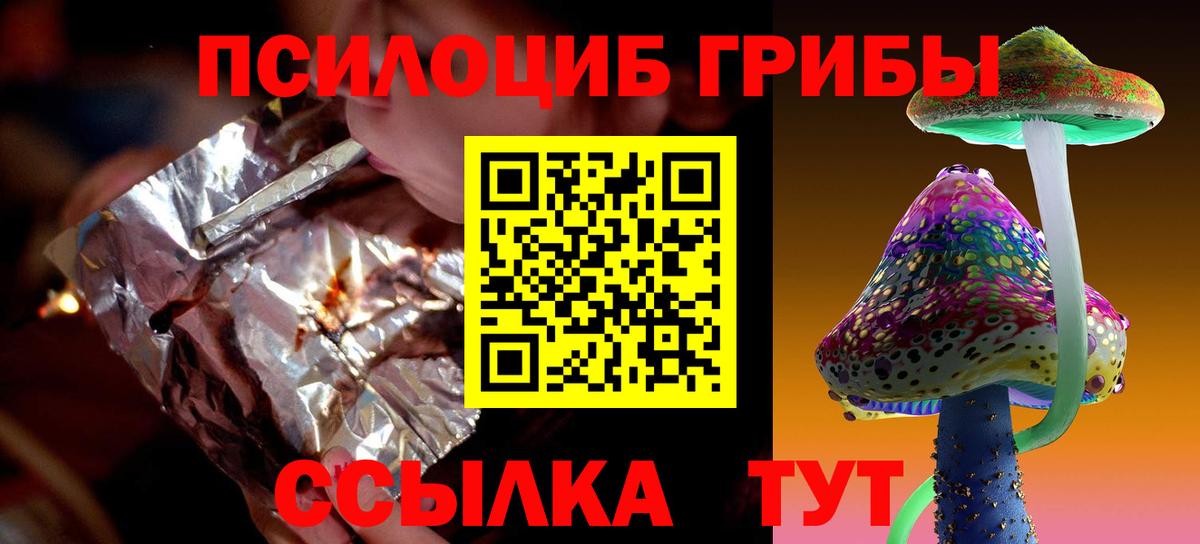 Псилоцибиновые грибы Psilocybe Курчалой